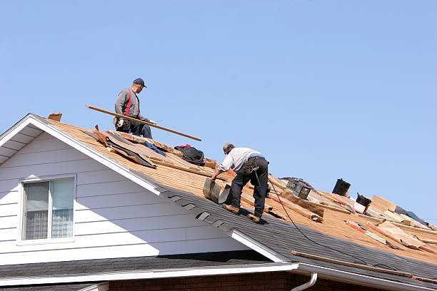 Best Cold Roofs  in Berrien Springs, MI